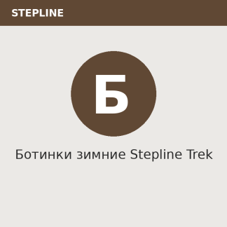 Ботинки зимние Stepline Trek
