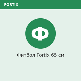 Фитбол Fortix 65 см